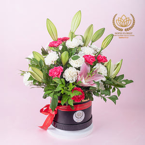 Elegance Boom