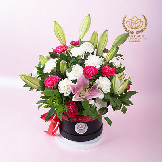 Elegance Boom