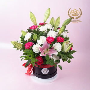 Elegance Boom