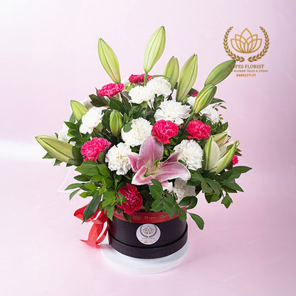 Elegance Boom