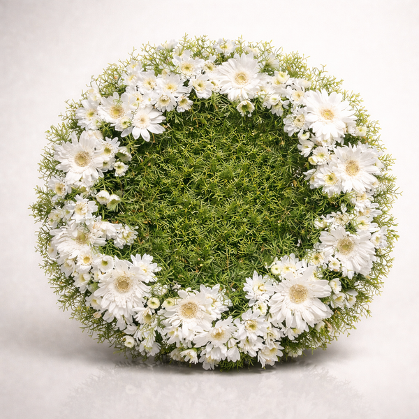 Classic White Daisy & Green Base Wreath