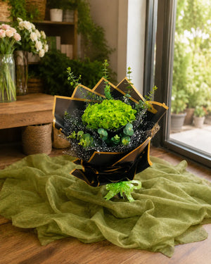 Green Hydrangea with Black Packing